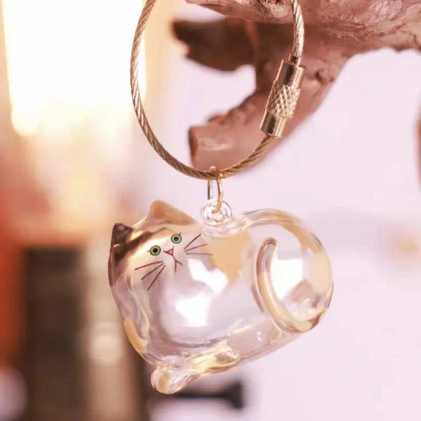 Pet Fur Keepsake Box | Transparent Memorial Container | PetAura Home Decor