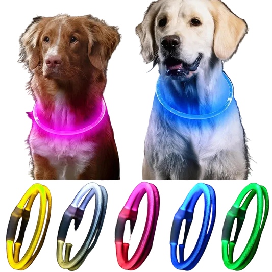 LED Glowing Dog Collar: USB Rechargeable & Anti-Lost Night Safety Collar