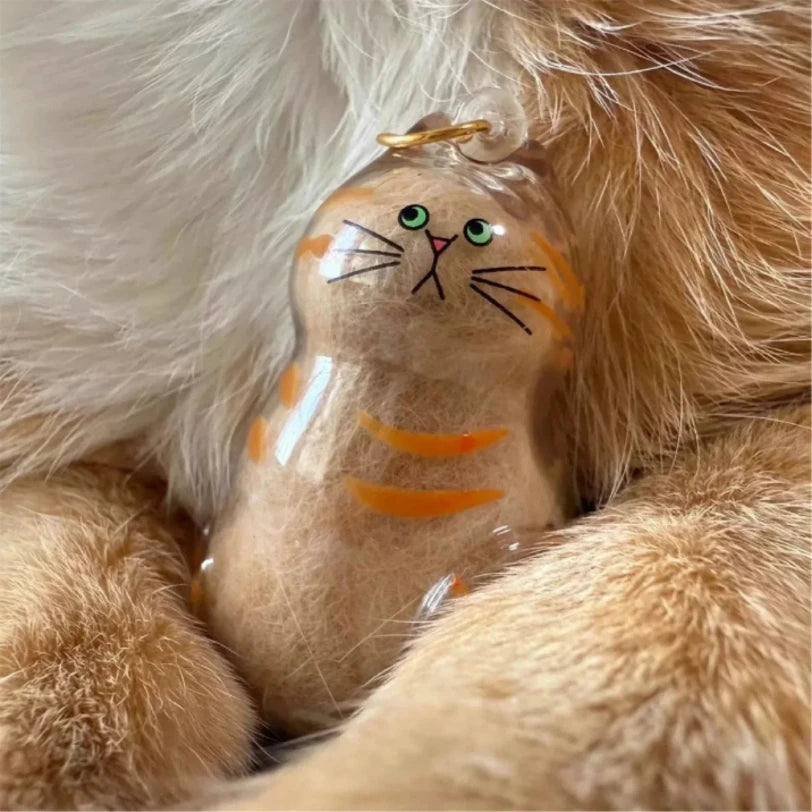 Pet Fur Keepsake Box | Transparent Memorial Container | PetAura Home Decor