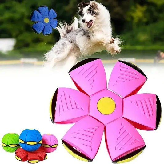 Flying Saucer Dog Ball: Durable Interactive Toy for Outdoor Exercise | PetAura