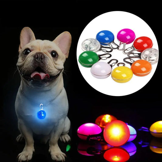 LED Dog Collar Light | Glow in the Dark Night Safety Pendant | PetAura Christmas Gift