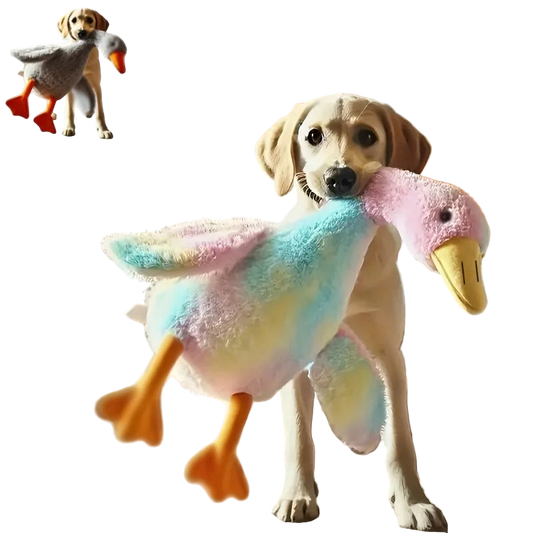 50cm Soft Colorful Duck Plush Toy for Cats Dogs Relax Pet Companion Anxiety-Relieving Dog Buddy Energy Release Gift for Pets