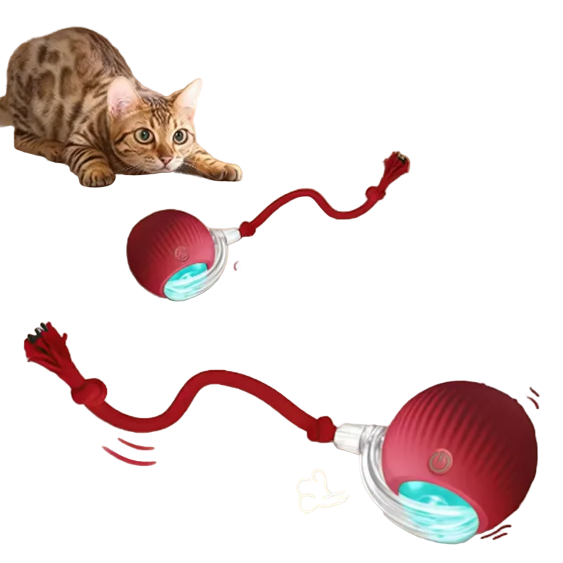 Hot cat toys are automatically teasing cat balls and self-exciting cat sticks and ticks and resistant to wear and bite pet toys