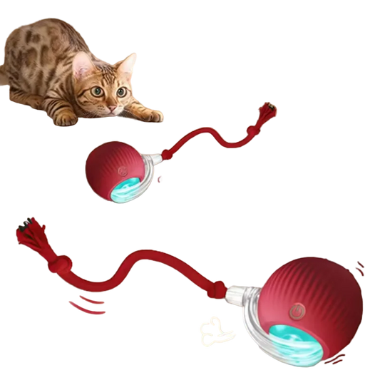 Hot cat toys are automatically teasing cat balls and self-exciting cat sticks and ticks and resistant to wear and bite pet toys
