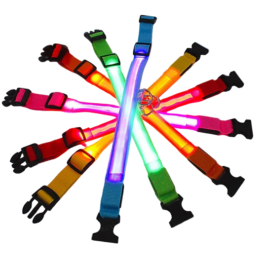 LED Glowing Dog Collar: USB Rechargeable & Anti-Lost Night Safety Collar -PetAura