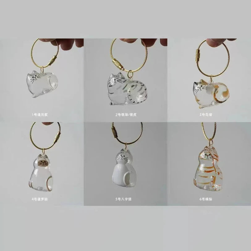 Pet Fur Keepsake Box | Transparent Memorial Container | PetAura Home Decor